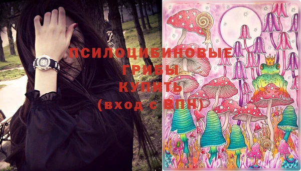 2c-b Вяземский