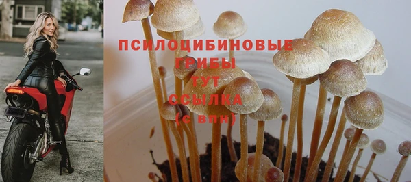 винт Вязьма